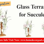 Glass Terrarium for Succulents: A Stunning & Low-Maintenance Mini Garden
