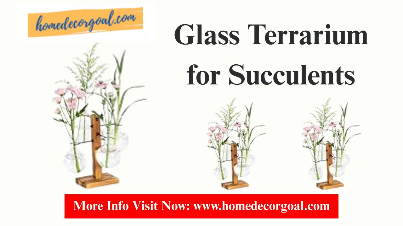 You are currently viewing Glass Terrarium for Succulents: A Stunning & Low-Maintenance Mini Garden